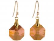 Crystal Copper Octogan Earrings